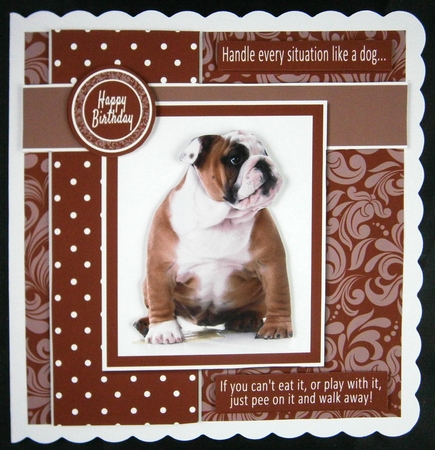 Handle Every Situation Like A Dog by Linda Short