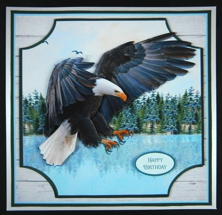 EAGLE MINI KIT by Linda Short