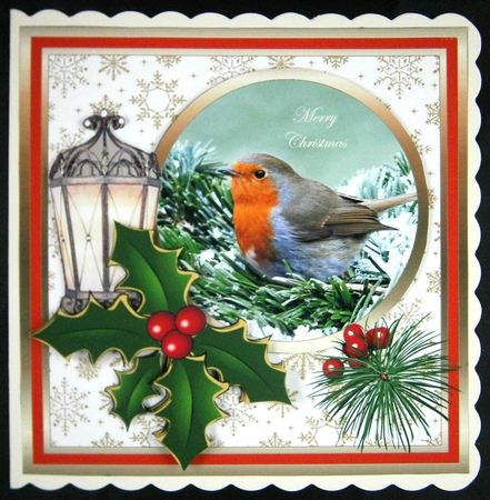 SC Robin by Linda Short