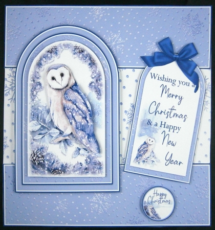Owl Tent Fold Window Card Front Mini Kit by Linda Short