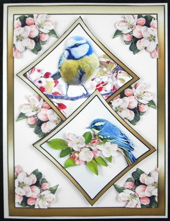 Two squares Blue birds by Linda Short
