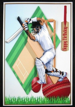 Cricket Mania A5 by Linda Short