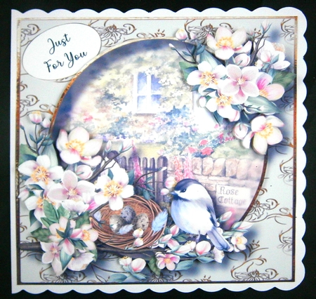 Birds Nest At The Rose Cottage 2 by Linda Short