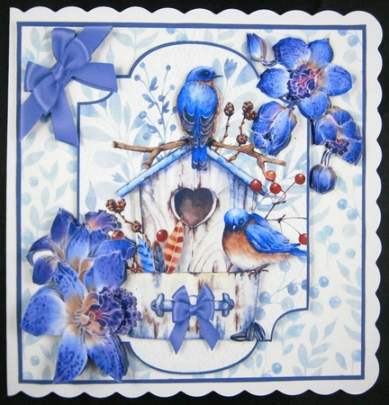 Birds and Orchids by Linda Short