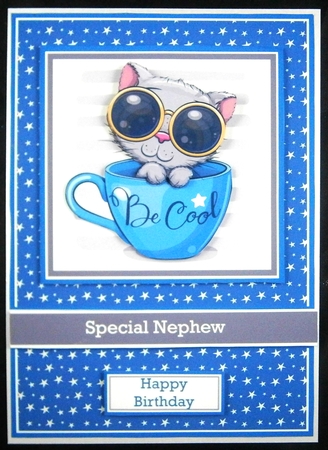 A5 Cool Cat Card Front, Topper, Decoupage Layer, Ribbon & Sentiments by Linda Short