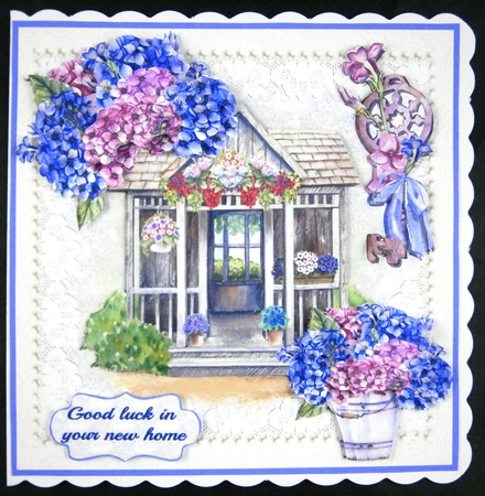 Hydrangea new home by Linda Short