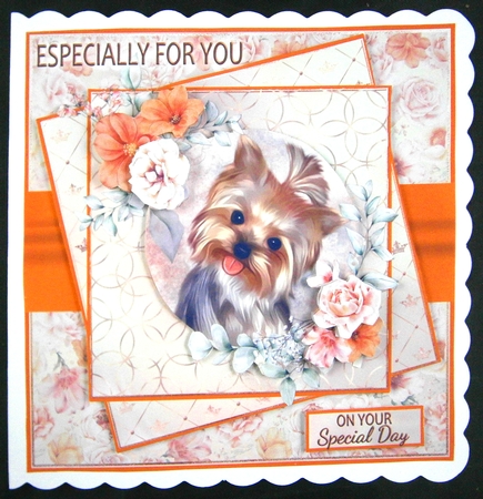 Cute Little Yorkie by Linda Short