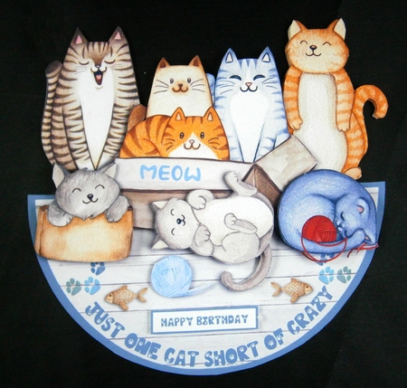 ONE CAT SHORT OF CRAZY rocker card by Linda Short
