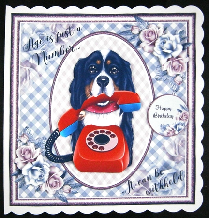 Age Is Just A Number 02 Card Front   by Linda Short