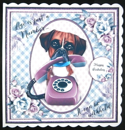 Age Is Just A Number 04 Card Front   by Linda Short