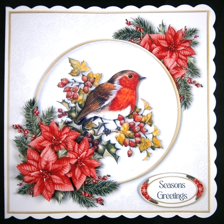 Little Robin Red Breast 5 by Linda Short