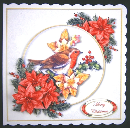 Little Robin Red Breast 8 by Linda Short