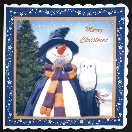 Harry Potter themed Snowman by Linda Short