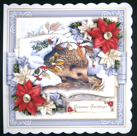 Winter Hedgehog Open Book by Linda Short