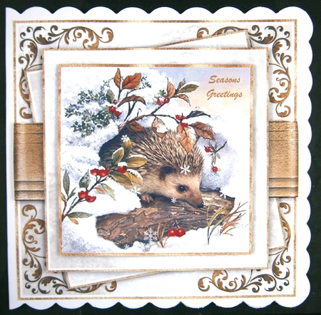 Sweet Hedgehog No.1 by Linda Short
