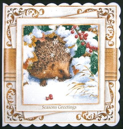 Sweet Hedgehog No.3 by Linda Short