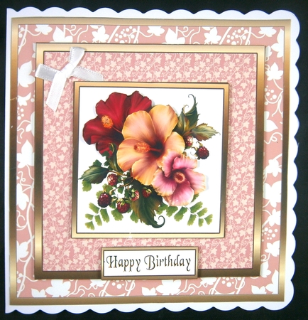 SC Pretty hibiscus by Linda Short
