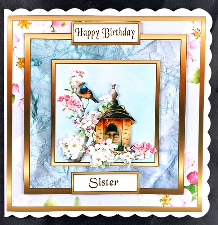 SC Birdhouse & apple blossom by Linda Short