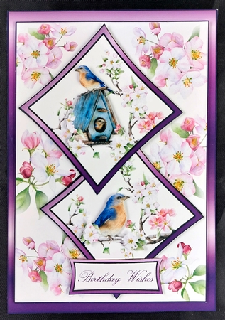 Two squares Blue bird & apple blossom by Linda Short