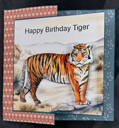 tiger  fold back  by Linda Short