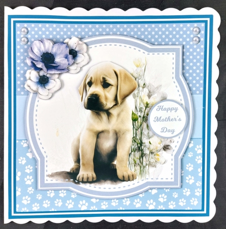 LABRADOR PUPS by Linda Short
