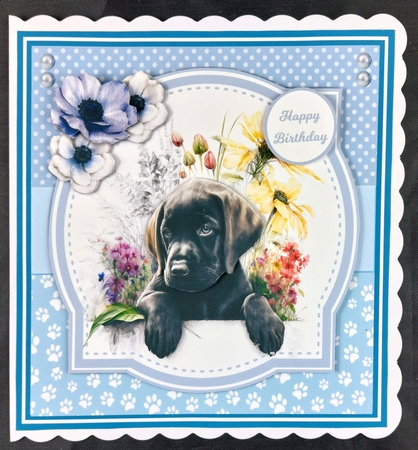 LABRADOR PUPS by Linda Short