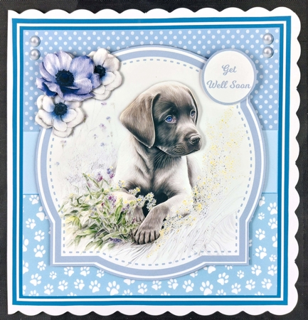 LABRADOR PUPS by Linda Short