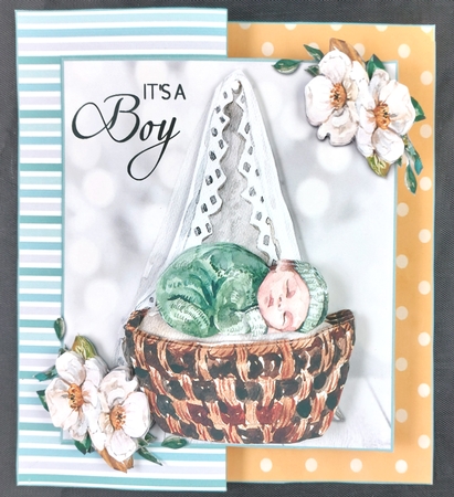 New Baby Boy Fold back with Folio Option 1 by Linda Short