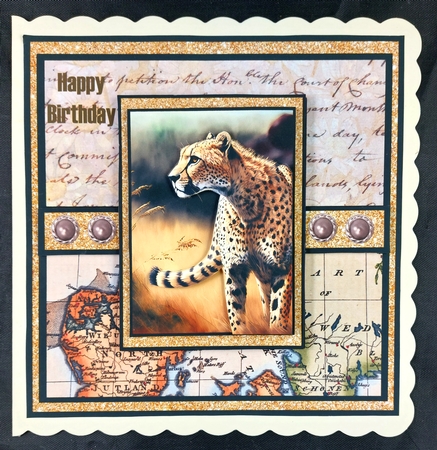7 Inch Square Card Mini Kit -  Big Cat #5 - Cheetah by Linda Short