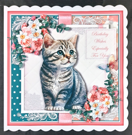 Cute Animals one  by Linda Short