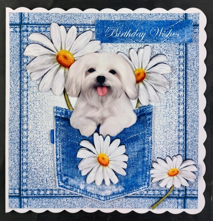 Cute White Dog With Daisies in Denim Pocket  8x8 Mini kit by Linda Short