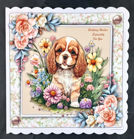 7x7 Mini Kit , Gorgeous Springer Spanial  by Linda Short
