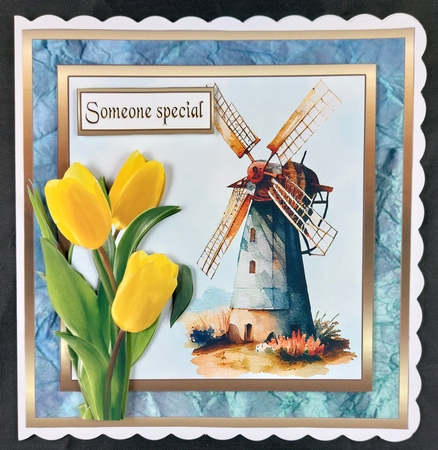 SC Windmill & yellow tulips by Linda Short