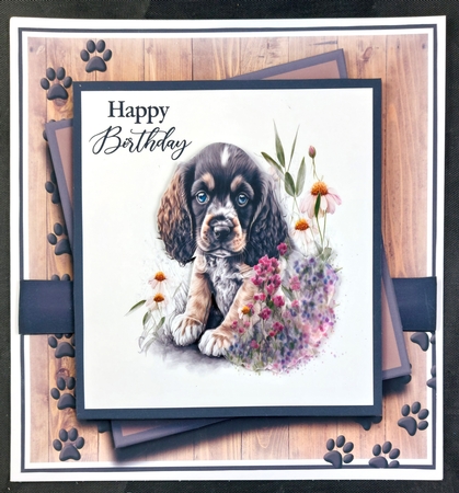 8x8 A Dogs Kiss Mini Kit - x5 A4 Sheets  by Linda Short