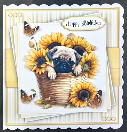 Pugsy Alone Mini Kit by Linda Short