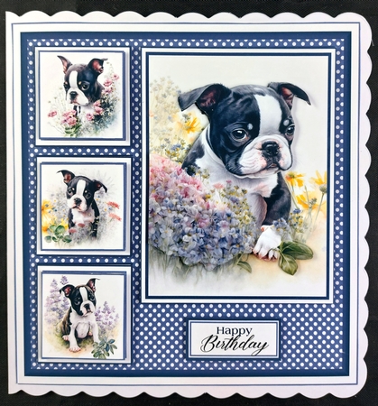 8x8 Boston Terriers Mini Kit - x5 A4 sheets  by Linda Short