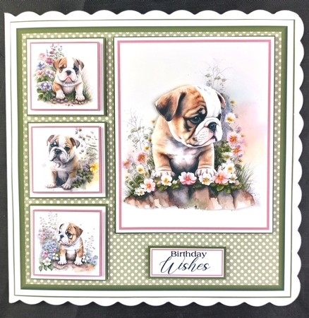 8x8 Little Bulldogs Mini Kit - x5 A4 sheets  by Linda Short