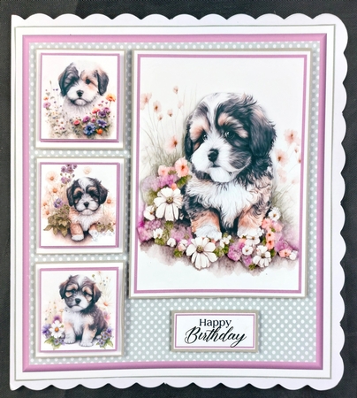 8x8 Baby Havanese Mini Kit - x5 A4 Sheets  by Linda Short
