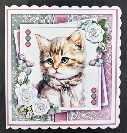 Just a portrait of a cute cat KIT-FIVE  by Linda Short