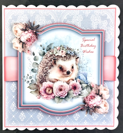 The Little hedgehog by Linda Short