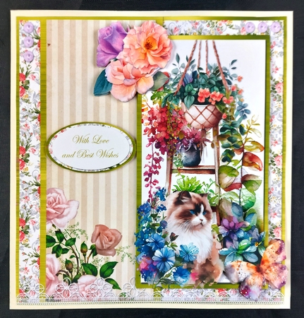 Summer Garden Cats 7: Ragdoll 8 x 8 Card Front with Sentiments by Linda Short
