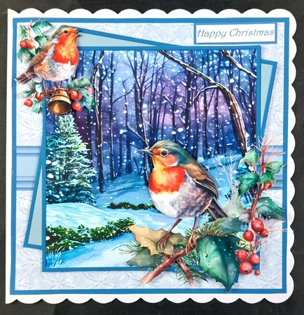 Robin in the snow 7x7 by Linda Short