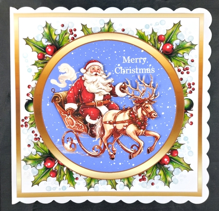 SC Santa in the sky by Linda Short