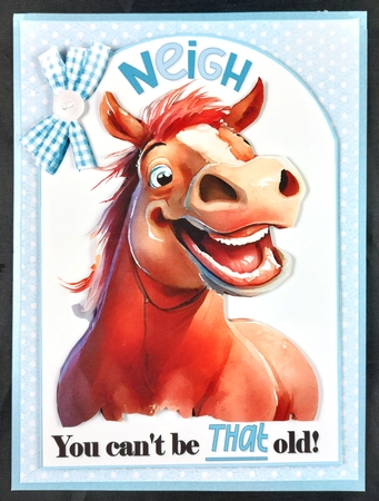 Neigh not that old & Hog wash not that old birthday choice of two mini kit by Linda Short