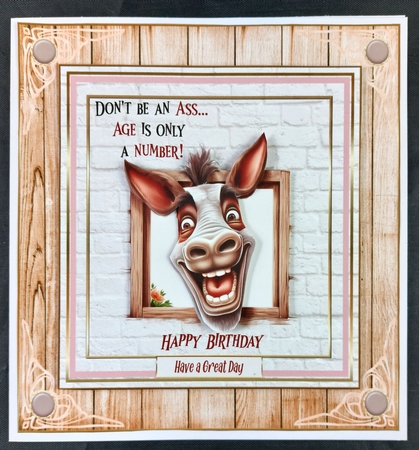 Dont Be An Ass 7x7ins kit with bookmarks by Linda Short