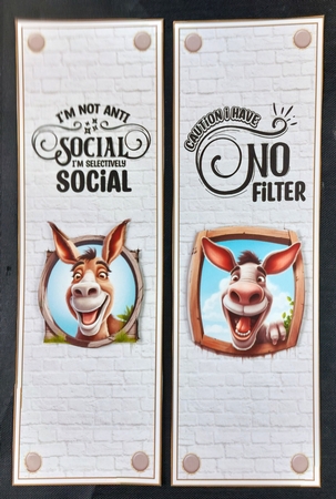 Dont Be An Ass 7x7ins kit with bookmarks by Linda Short