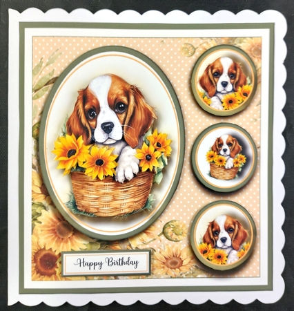 8x8 Cavalier King Charles Mini Kit - x4 A4 Sheets  by Linda Short