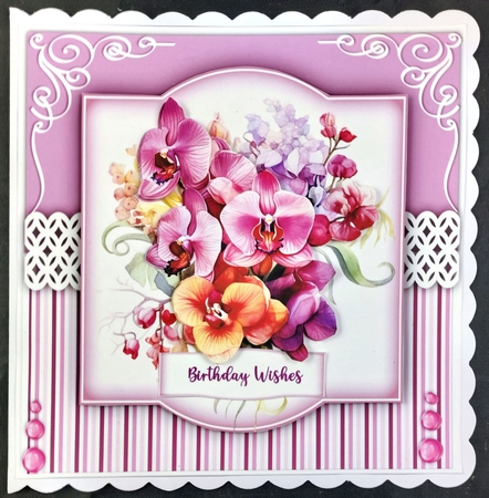 8x8 Mini Kit, Gorgeous Lilac Orchids by Linda Short