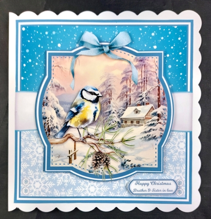 BIRDS IN THE SNOW by Linda Short
