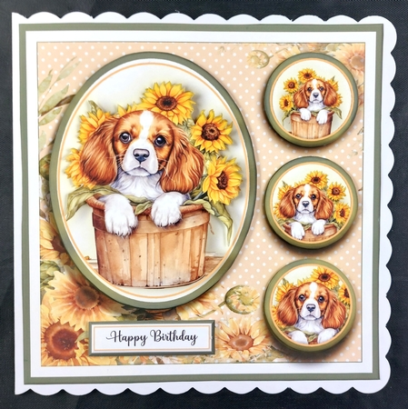 7x7 Cavalier King Charles Card Front, Toppers and sentiments by Linda Short